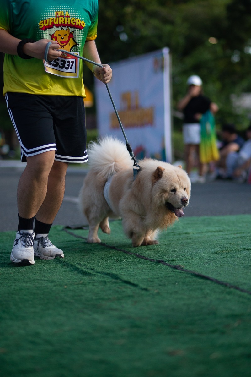 People gathering after the Fun Run