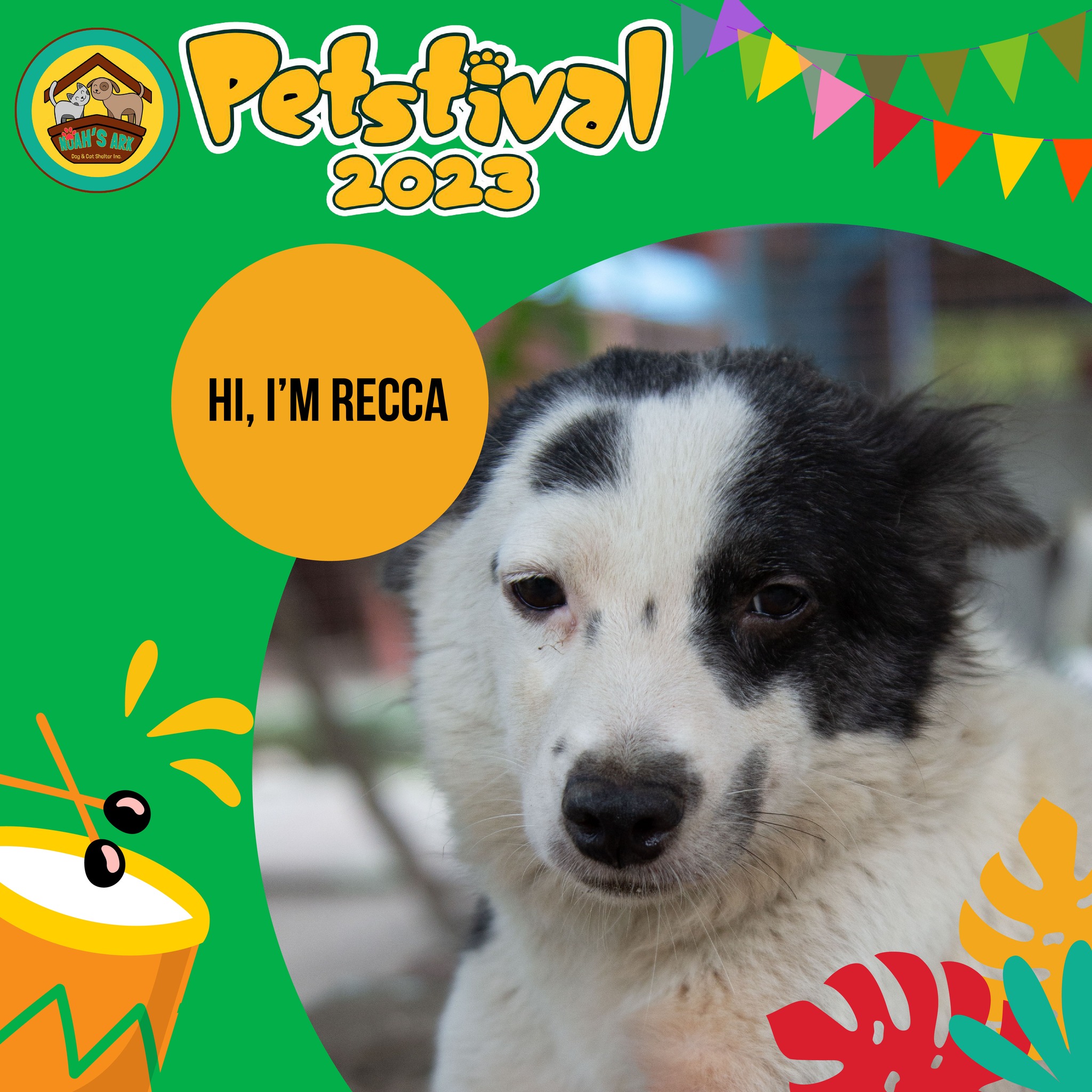 Volunteers and attendees at the event